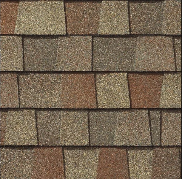 Timberline HDZ golden harvest